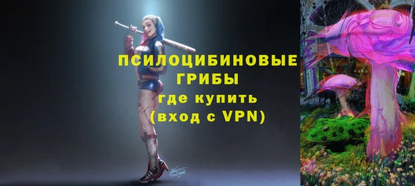 СК Михайлов