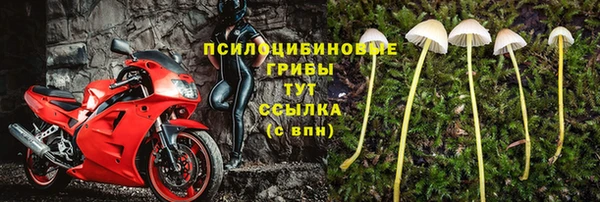 гидра Медвежьегорск