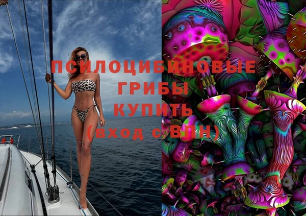 гидра Медвежьегорск