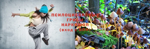 дживик Михайловка