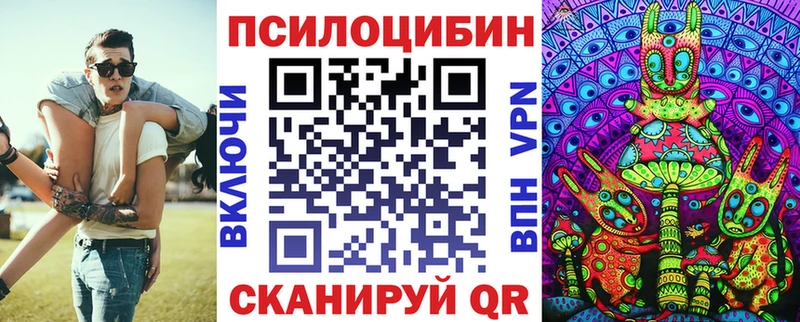 блэк спрут зеркало что такое Полысаево даркнет клад Галлюциногенные грибы Cubensis