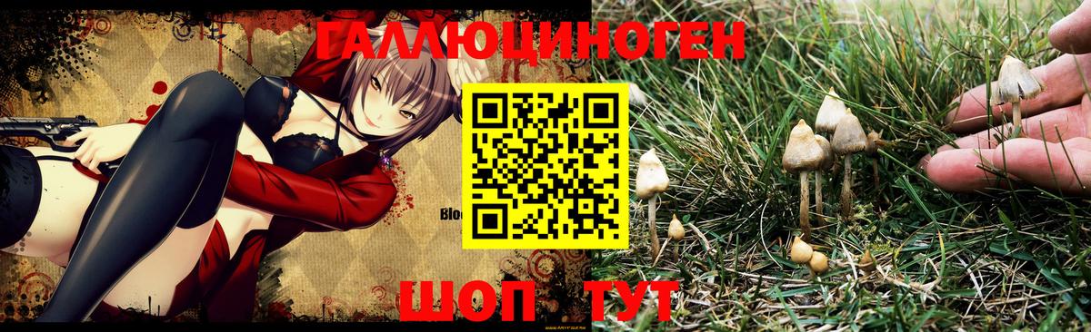 где можно купить наркотик  Полысаево  Псилоцибиновые грибы прущие грибы 