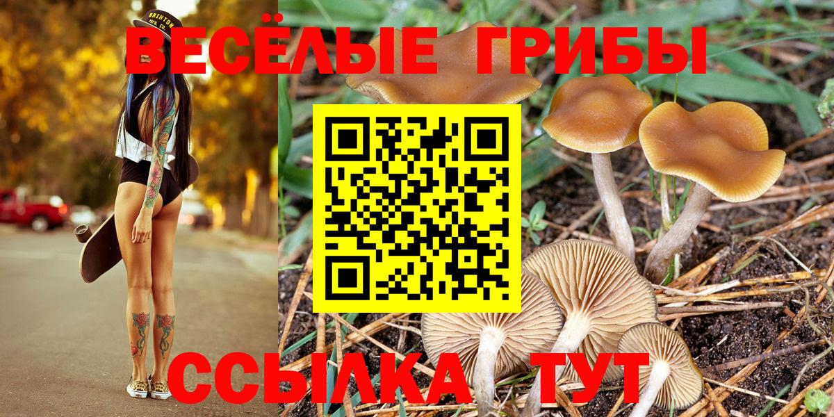 Галлюциногенные грибы GOLDEN TEACHER Полысаево